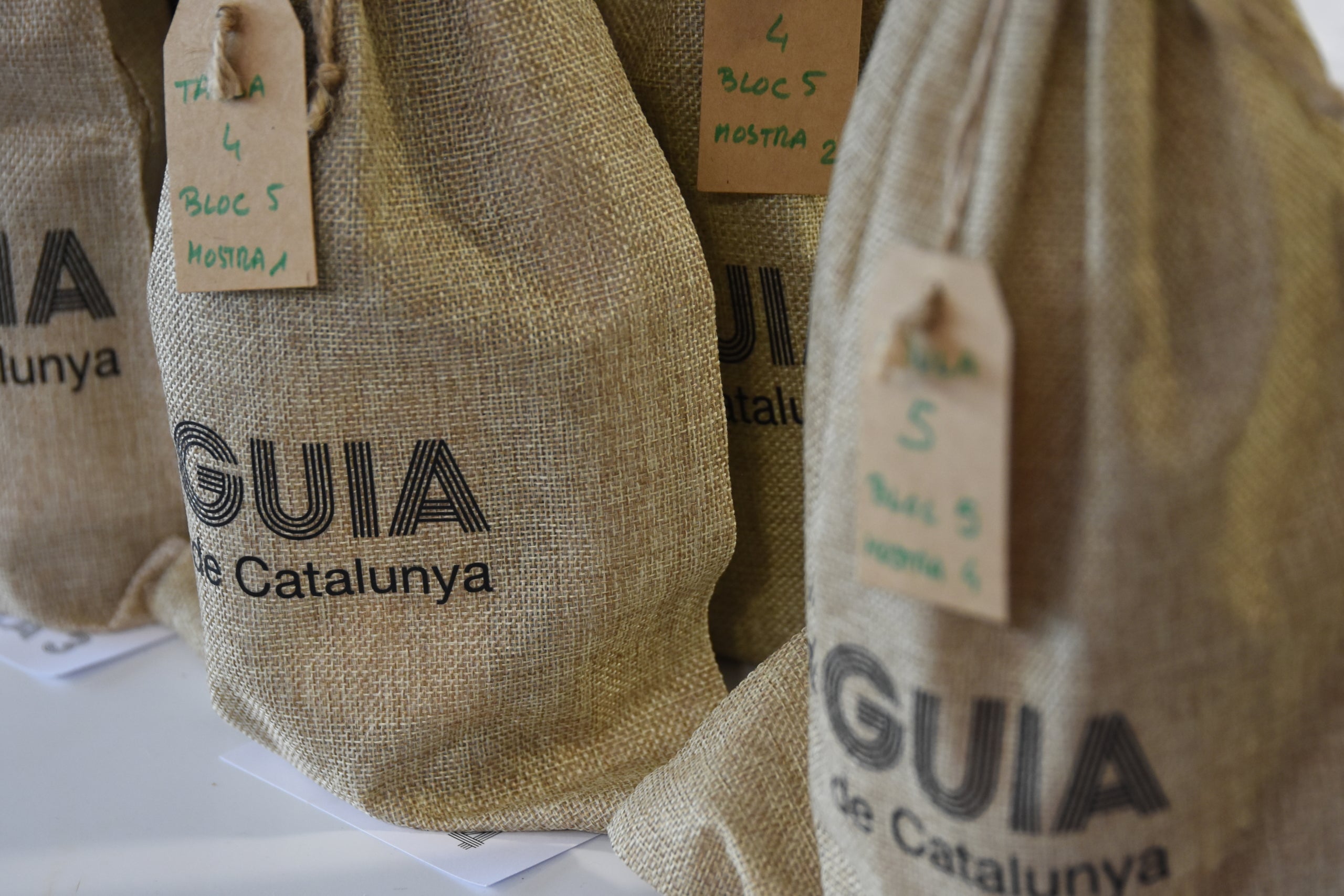 Imatge del tast a cegues de La Guia dels Vins de Catalunya / Cedida