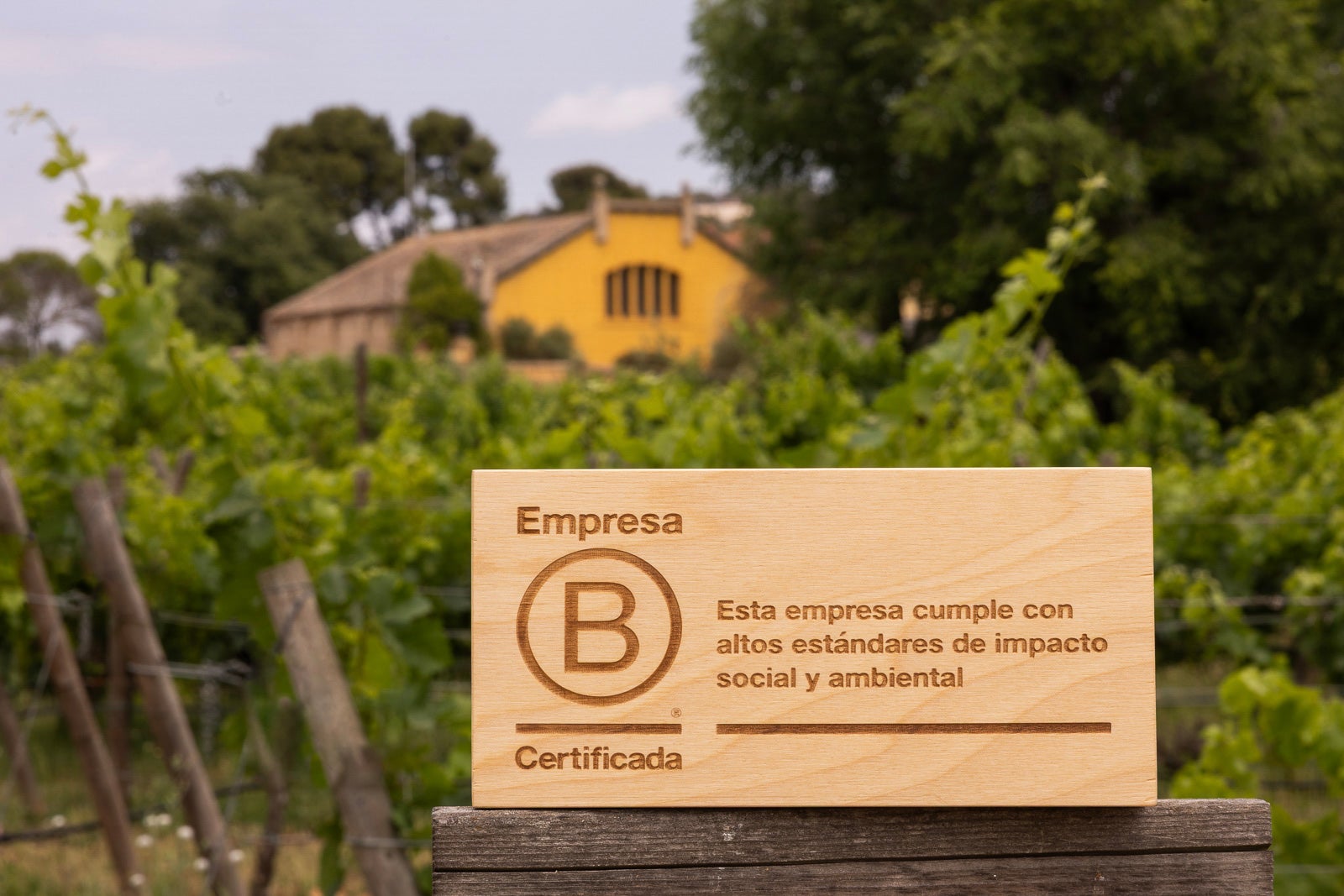 Imagen del certificado B Corp que ha recibido Familia Torres / Cedida