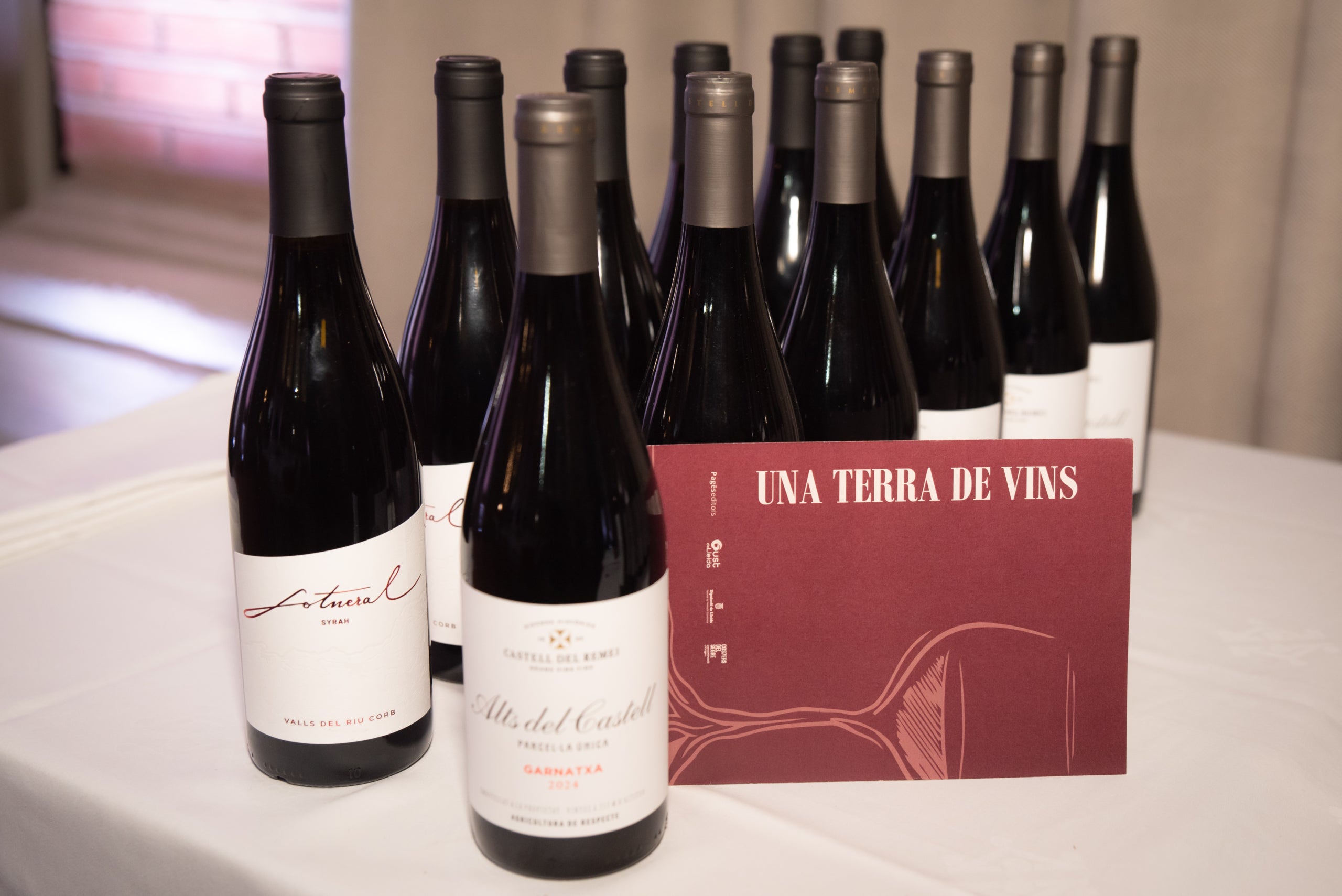 Unes ampolles de vi i el llibre ‘Una terra de vins’, impulsat per la Diputació de Lleida / Cedida