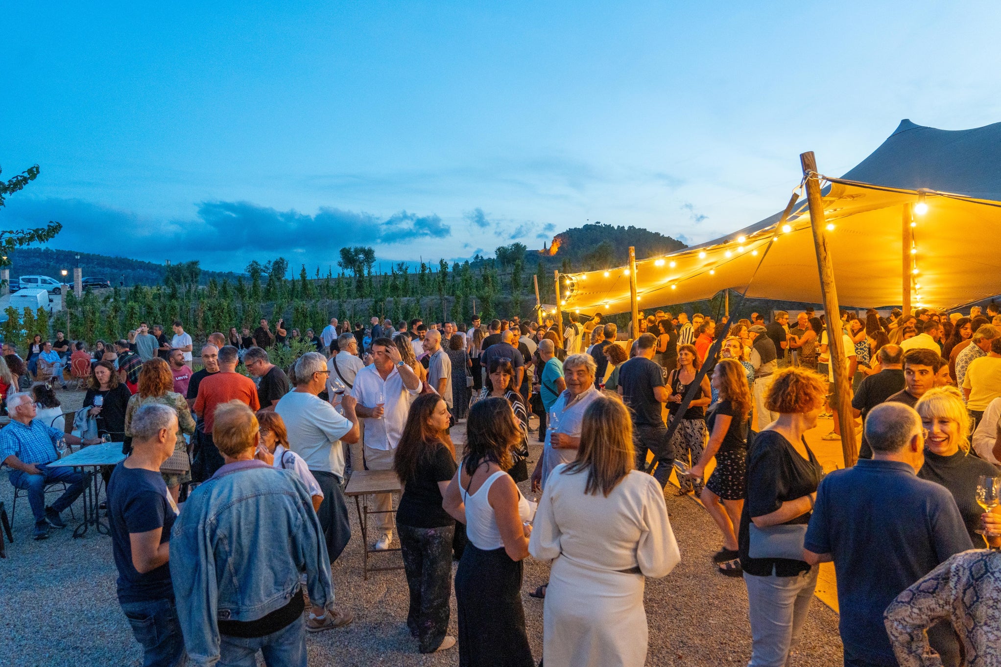 La Festa de la Verema al celler Dosterras / Carles Carbonell / DO Montsant