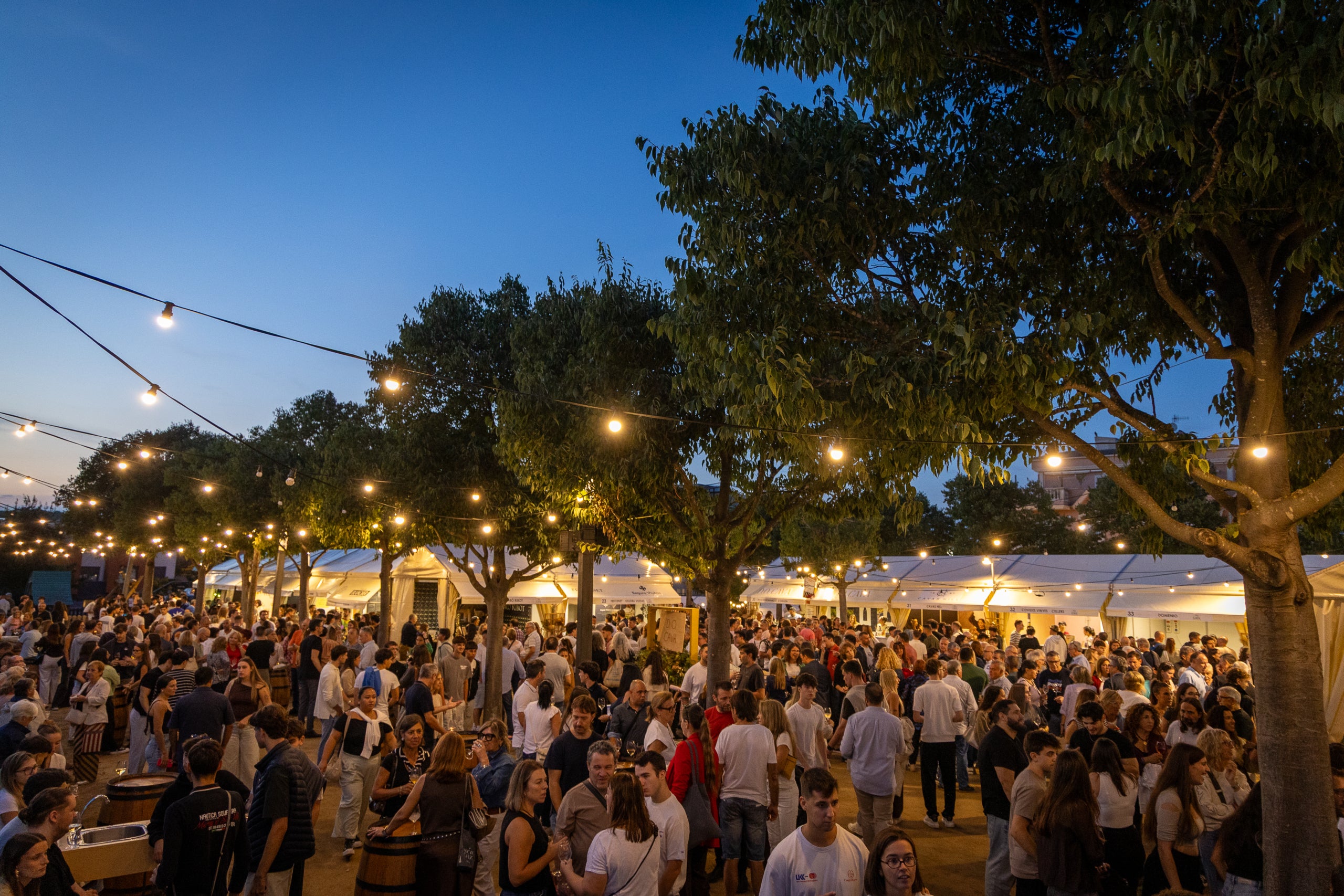 L’Escumostra celebra una 30a edició d’èxit malgrat les pluges / Ajuntament de Sant Sadurní d'Anoia